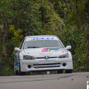 23° rally del Ticino